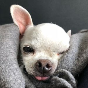 Meet your Posher, Atsushi